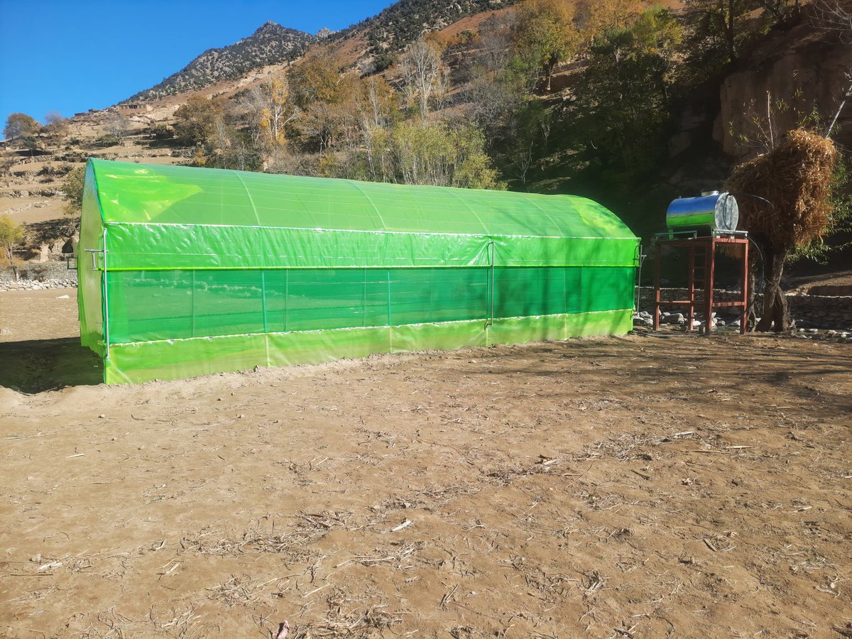 FAOAfghanistan's tweet photo. Greenhouses empower women farmers in #Nuristan.
@FAO has built 250 greenhouses for 250 women-led families in 56 villages across #Bargimatal, #DoAb, #Kamdish, & #Mandol districts.
These will enhance nutrition, food diversity, & income while enabling off-season veg production. https://t.co/ZGfk74spY5