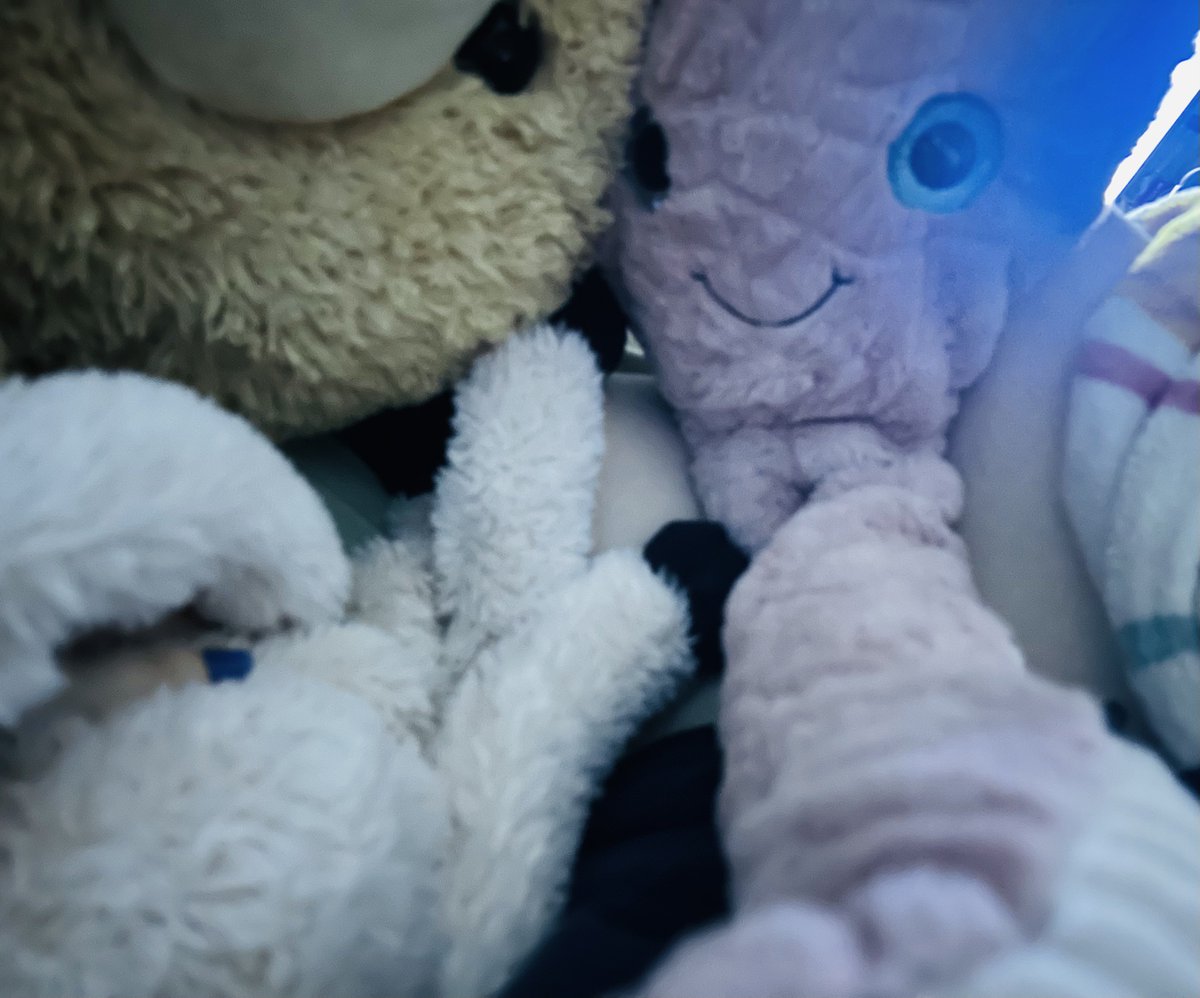 🐈‍⬛20yrs I dont sell I only reward tips🐈‍⬛ tweet media