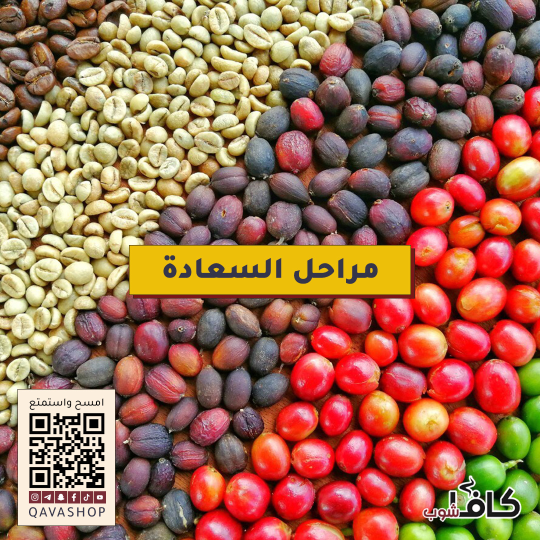 الجمال والتفاصيل لكل مرحلة ☕🤩

#قهوة #قهوة_مختصة #باريستا #اسبريسو #باريستا_العرب #2025
