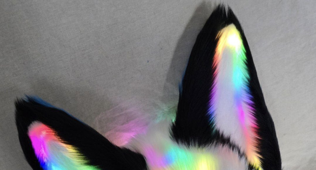 Tobemello tweet media