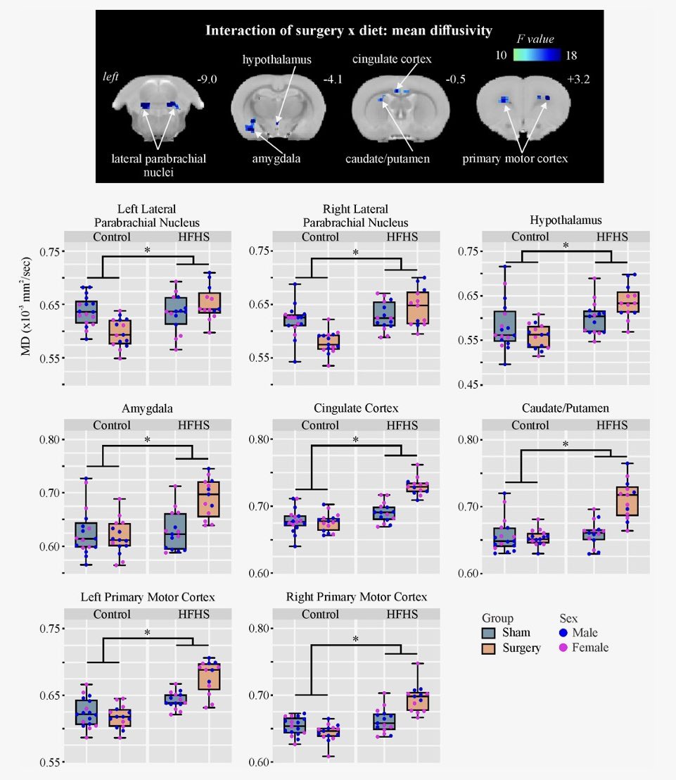 Angela Doshen (@angeladoshen) on Twitter photo Our latest manuscript- investigating the effect of diet on the gut-brain axis & chronic pain 🧠 Stoked to have been part of this wonderful team! <a href="/SalbergSabrina/">Sabrina Salberg</a> <a href="/matthew_macowan/">Matthew Macowan</a> <a href="/Suprachiasm/">Glenn Yamakawa</a> <a href="/MarissaSgro/">Marissa Sgro</a> Benjamin Marsland <a href="/LukeHenderson_1/">Prof Luke Henderson</a> <a href="/richelle_ndopl/">Richelle Mychasiuk</a>
tinyurl.com/49mj7wjf Our latest manuscript- investigating the effect of diet on the gut-brain axis & chronic pain 🧠 Stoked to have been part of this wonderful team! <a href="/SalbergSabrina/">Sabrina Salberg</a> <a href="/matthew_macowan/">Matthew Macowan</a> <a href="/Suprachiasm/">Glenn Yamakawa</a> <a href="/MarissaSgro/">Marissa Sgro</a> Benjamin Marsland <a href="/LukeHenderson_1/">Prof Luke Henderson</a> <a href="/richelle_ndopl/">Richelle Mychasiuk</a>
tinyurl.com/49mj7wjf