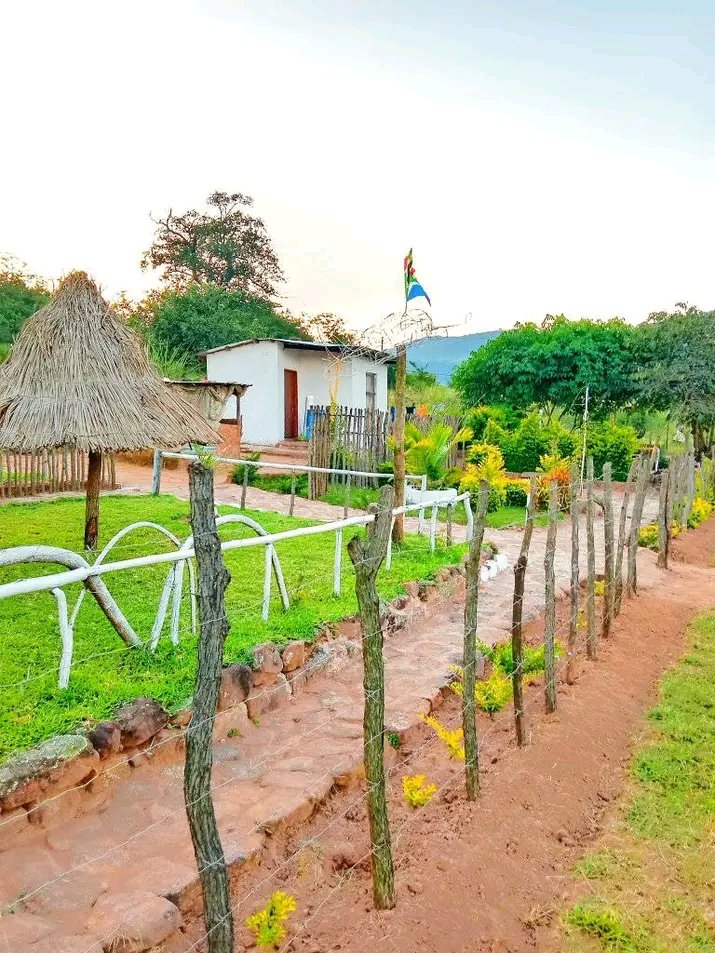 Artist TREVOR🇿🇦 tweet media