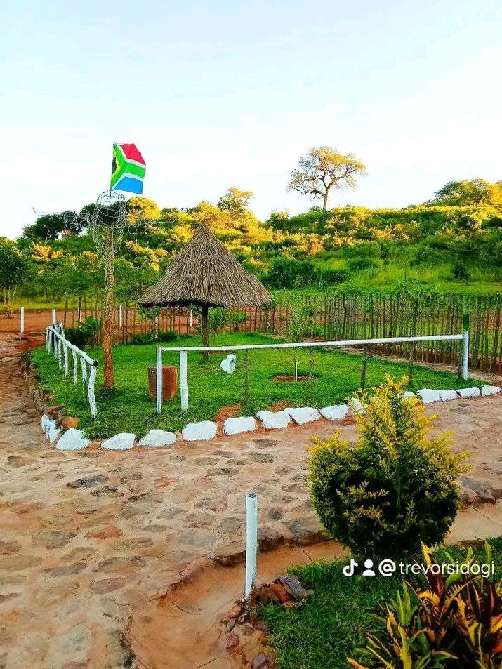 Artist TREVOR🇿🇦 tweet media