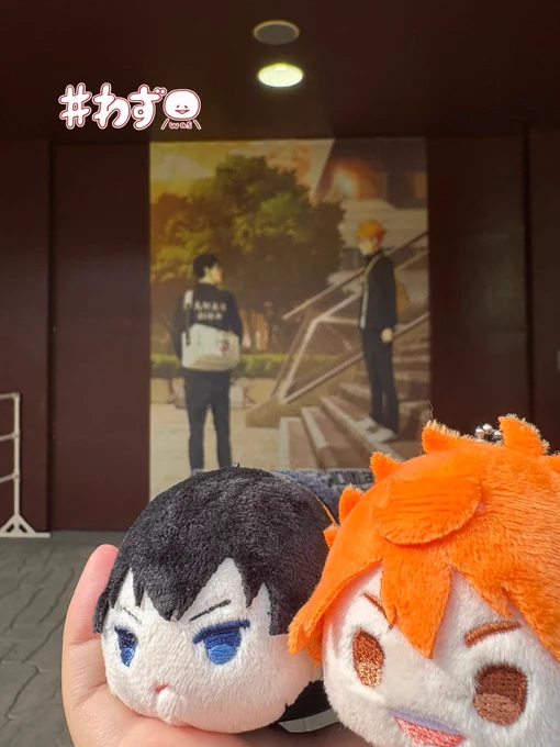 10周年記念展行ってきました展示たのしかった!記念と資料兼ねて音駒ジャージ買ってきた 