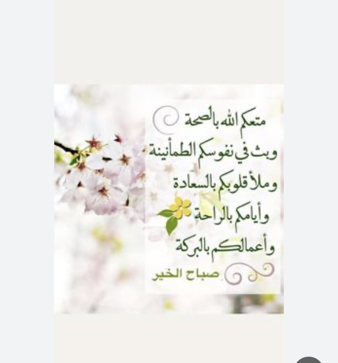 ناهض حسين ابن صمهود. (@n1399n1399) on Twitter photo 