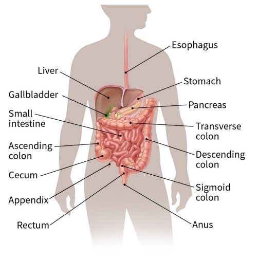 They're habits we do and food we take most of the times which damage our bodies without us knowing it.

These are 14 body parts you often damage but ignore 👇👇👇

Open this thread and learn🧵