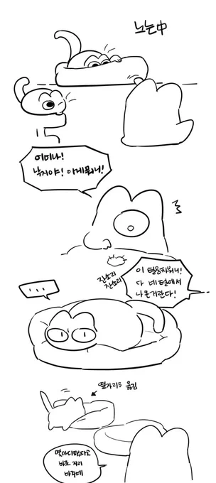 다시 올리기()
지인님네 고냥이랑 놀기(잔소리 포함 