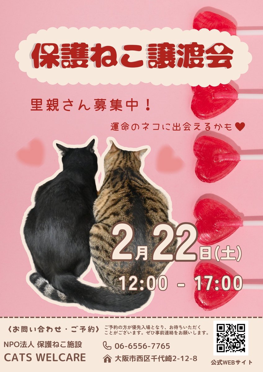 NPO法人CATS WELCARE🐈⬛🐾 on X: NPO法人CATS WELCARE🐈⬛🐾 on X: