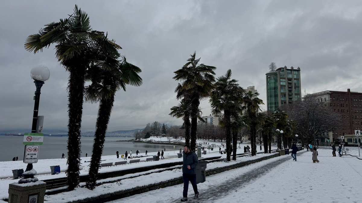 RyanVoutilainen's tweet image. Some stills from this morning’s downtown #Vancouver #BC snow chase… While driving in it proves difficult for those not used to it, the #BCsnow certainly makes for some fun, interesting and beautiful scenes!

#BCwx #BCstorm #BCstormwatch #ShareYourWeather @KMacTWN