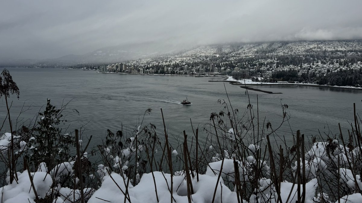 RyanVoutilainen's tweet image. Some stills from this morning’s downtown #Vancouver #BC snow chase… While driving in it proves difficult for those not used to it, the #BCsnow certainly makes for some fun, interesting and beautiful scenes!

#BCwx #BCstorm #BCstormwatch #ShareYourWeather @KMacTWN