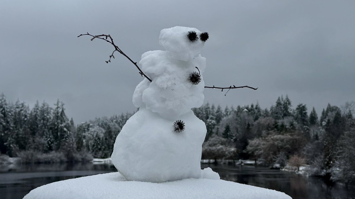 RyanVoutilainen's tweet image. Some stills from this morning’s downtown #Vancouver #BC snow chase… While driving in it proves difficult for those not used to it, the #BCsnow certainly makes for some fun, interesting and beautiful scenes!

#BCwx #BCstorm #BCstormwatch #ShareYourWeather @KMacTWN