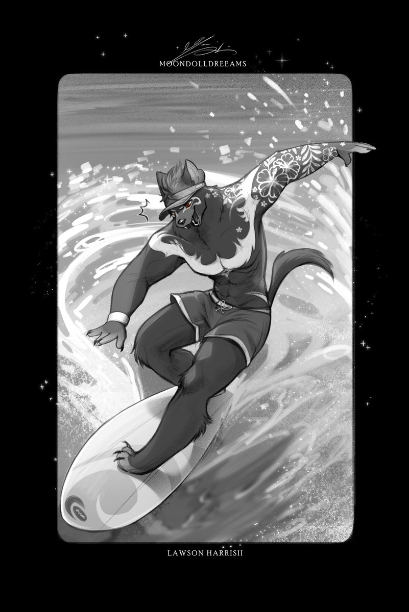 Lawson Sketch
#furry #Surf #tasmanian #beach #TattooedBoys #furryartist