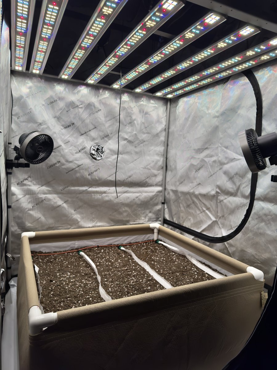 soilbeds's tweet photo. Welcome to my page about growing in organic living soil beds. This is an AC Infinity 4x4 setup with a custom 40”x40”x18” Grassroots living soil bed, Blumat irrigation, and a Grand Master LED. #Organic #LivingSoil #SoilBeds #BuildASoil https://t.co/rQjK1mXzON
