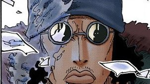 PookiePiece's tweet photo. I like how One Piece keeps shocking me every day. How the fuck did I just know Imu's shadow in Aokiji's glasses reflection in Chapter 699 from twitter ?! https://t.co/9HUK5dyTi1