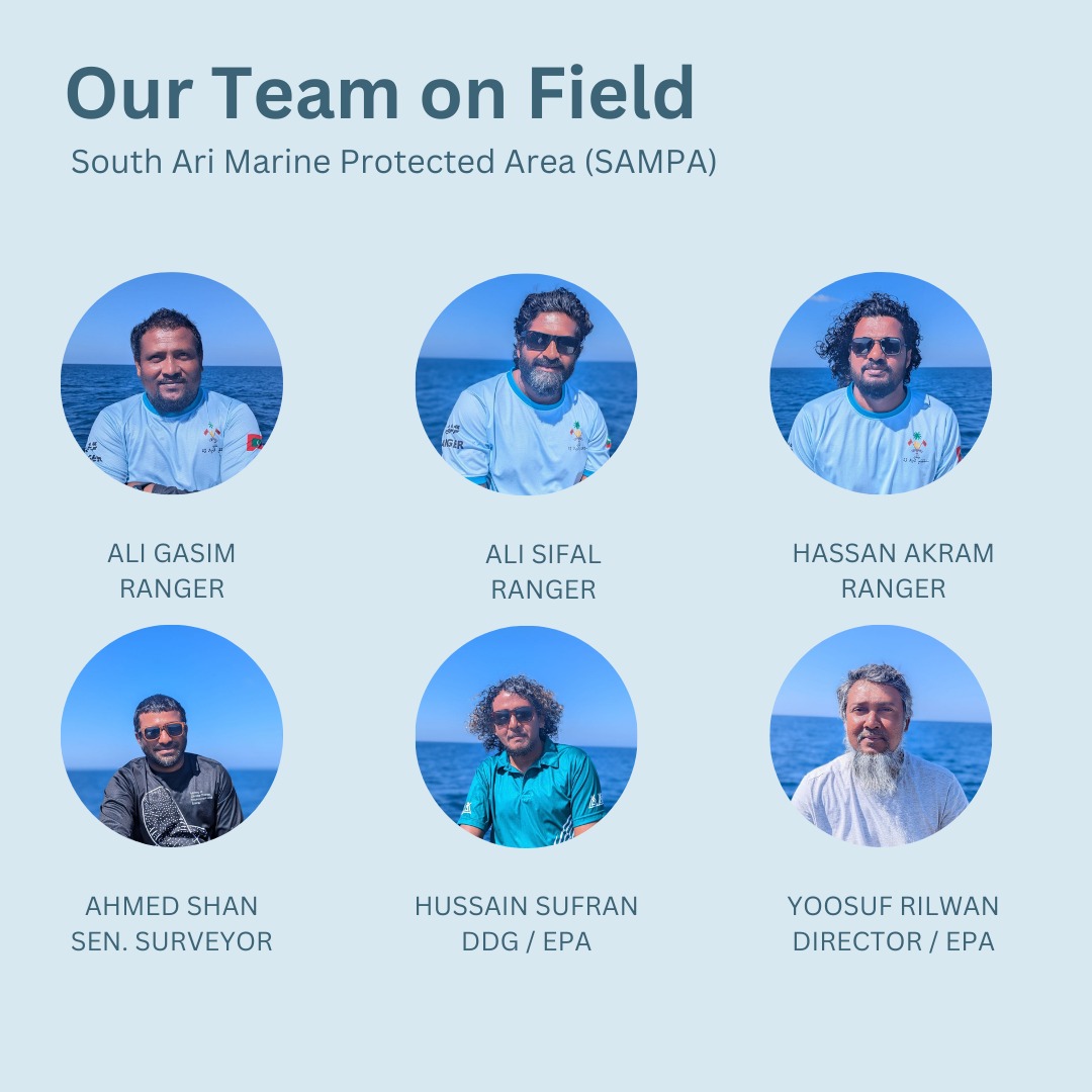 pcamaldives's tweet photo. As per the Mangement Plan for South Ari Marine Protected Area, our Rangers at SAMPA have started field monitoring along with Ministry and EPA staff. @moenvmv 
#Rangers #samparangers #SAMPA #WhaleShark #southariatoll https://t.co/qmVEL3WDPj