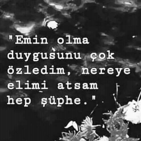 bursadan biri (@mesutdo08145717) on Twitter photo 