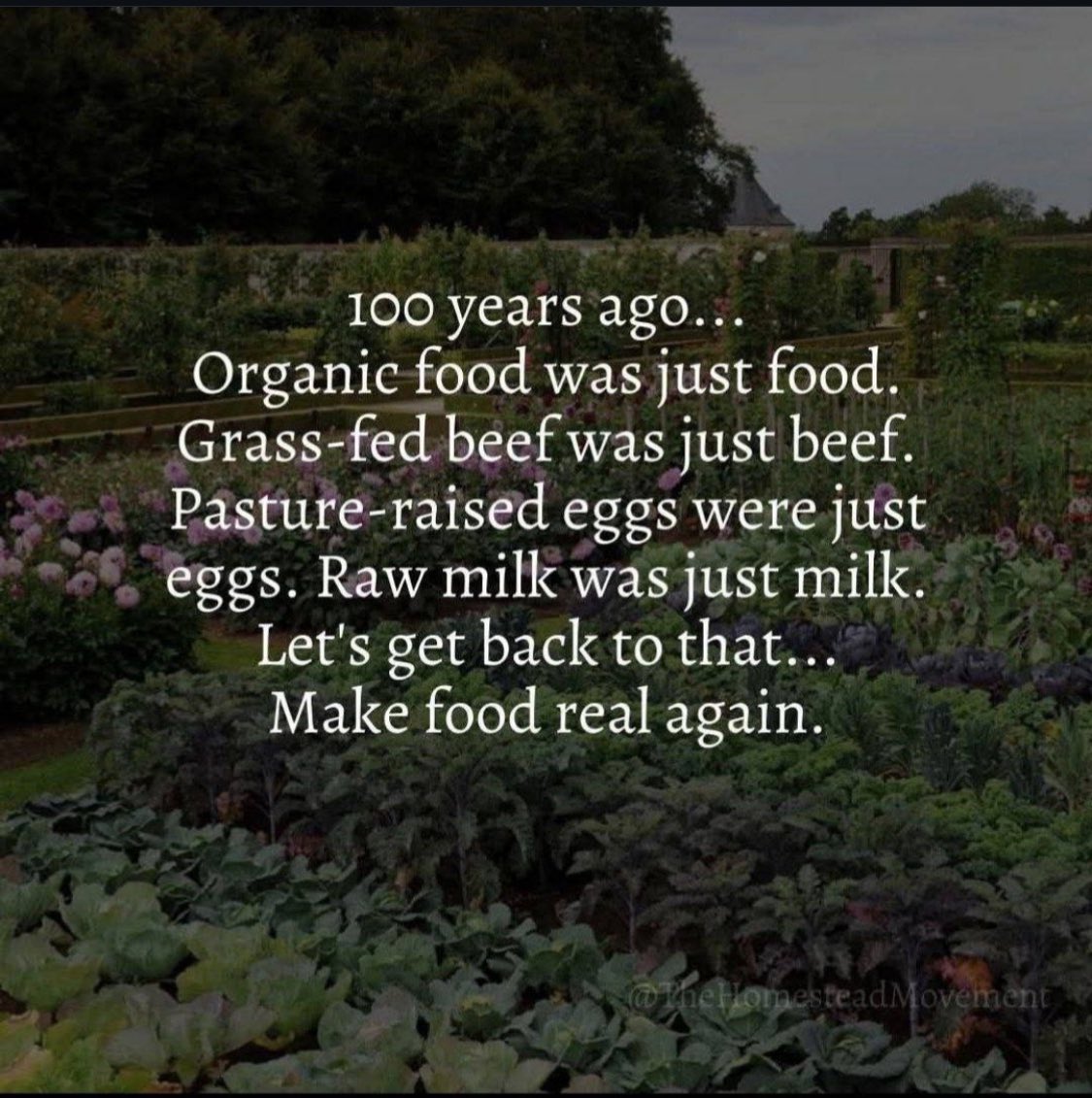 Dr Sherri Tenpenny (@busydrt) on Twitter photo 