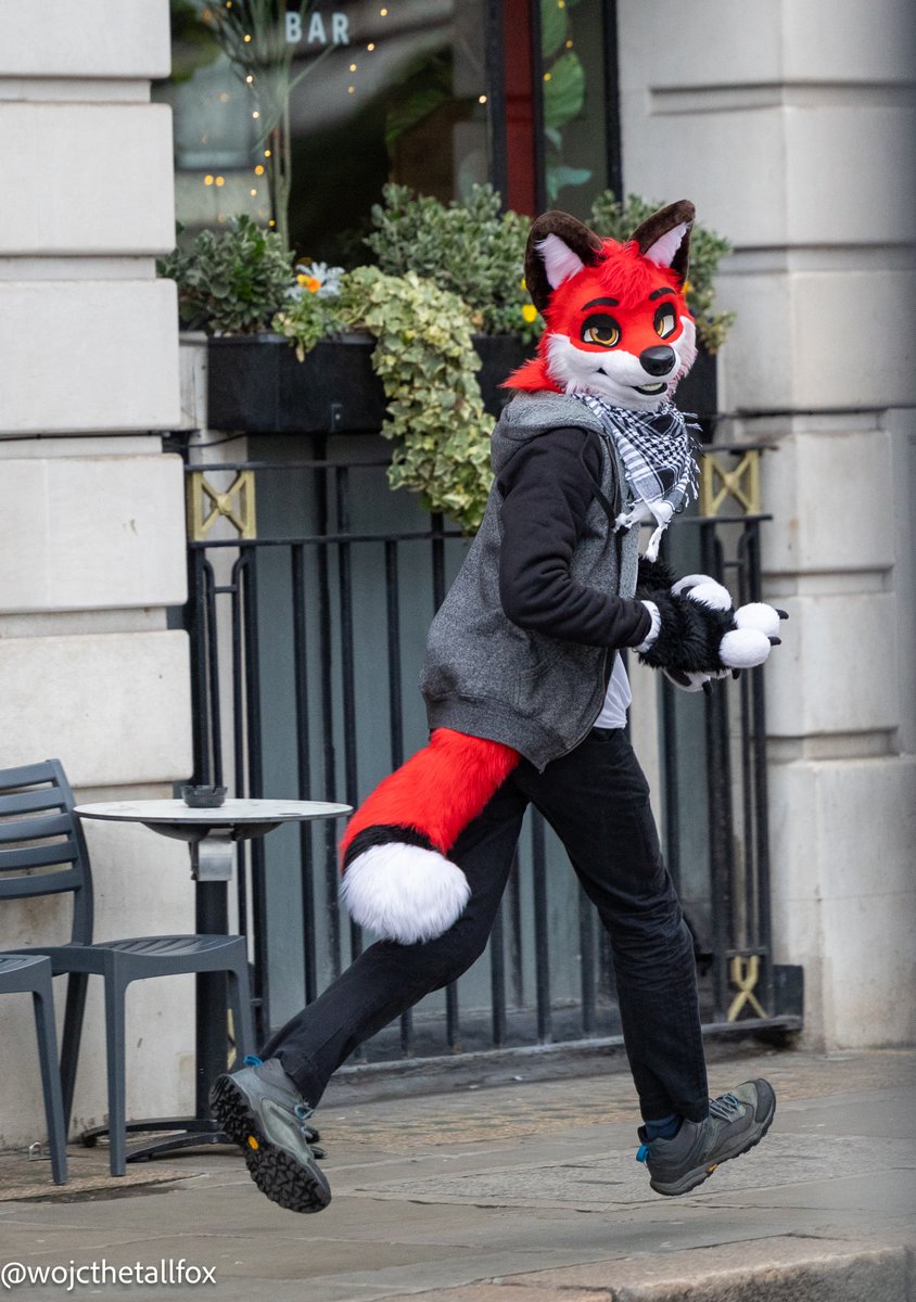 London's foxes LFM 01/02/25