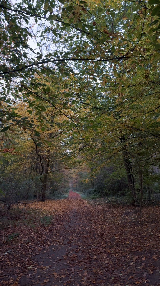 market so bad it got me reconnecting with nature n shit