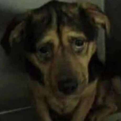 fitflyricsbot's tweet image. che y taylor donde está