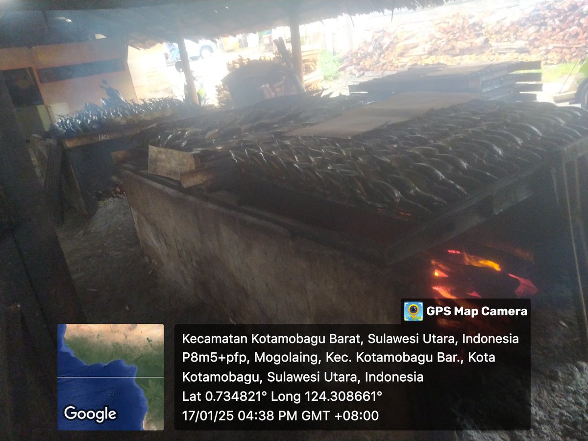 SuwardyMoch's tweet photo. Jum'at (17/01) moch suwardy, melaporkan produksi ikan asap panggang poklahsar kompas dan mitra bahari sejumlah 1 ton, harga ecer per ekor 20.000
#giatluhkansatminkalbitung
#luhlapor
@bpppbitung https://t.co/YAeGVrYG6f