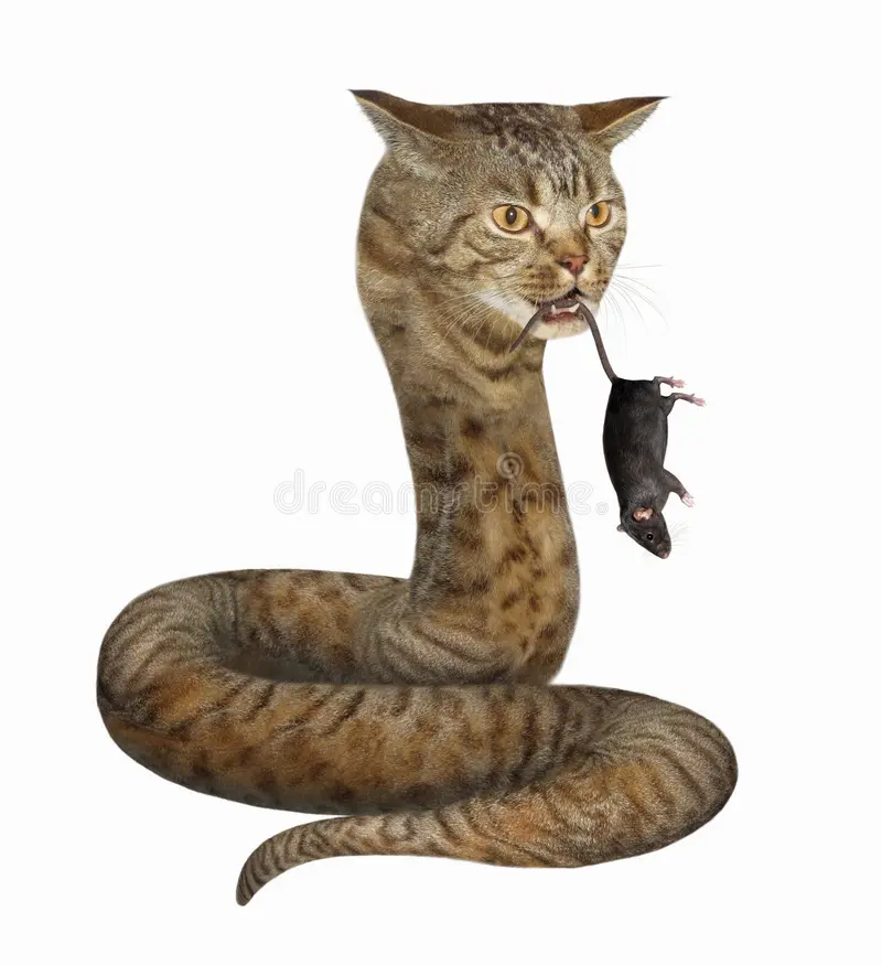 koiSeAloh's tweet photo. stock images that go hard https://t.co/gT5PWEnLlg