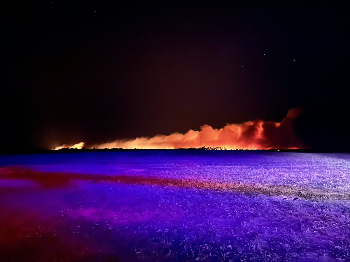 Lewis Bothe tweet media