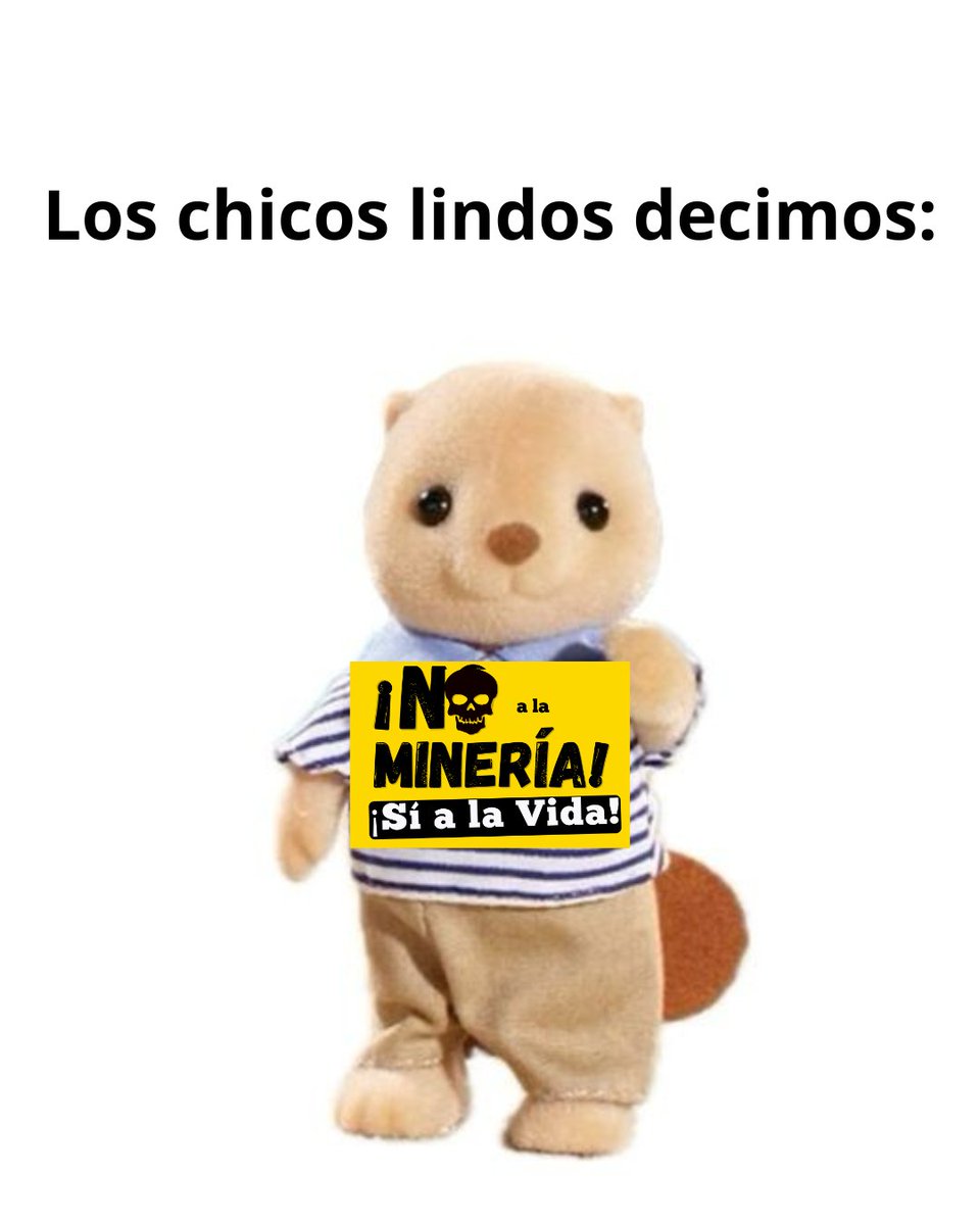 📢 No hay ni una experiencia de minería "sostenible" en el mundo. La prohibición de esta práctica fue una de las grandes conquistas del pueblo que no quiere más contaminantes en su agua, tierra y territorio.

👉🏻 Por eso las juventudes climáticas decimos #NoALaMineriaSiAlaVida 🌱