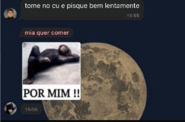 ACERVO BANDO DE CORNO tweet media