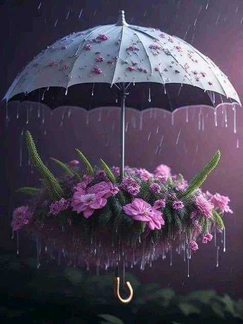 حين تثقل الأحزان قلبك وتضيق عليك الحياةتذكر أن الله لا يترك عباده في دوامة الألم بلاسندأو عوض عوض الله ليس مرهونا بأمانيك ولامحدودابتصوراتك فهو ينسج الخيربخيوط خفية لاتراهايأتي في وقته محملًابعظمته وقدرته قديتجلى في ماتنتظره وقديكون فيمالم يخطر ببالك💕
ثق بتدبير الله💕