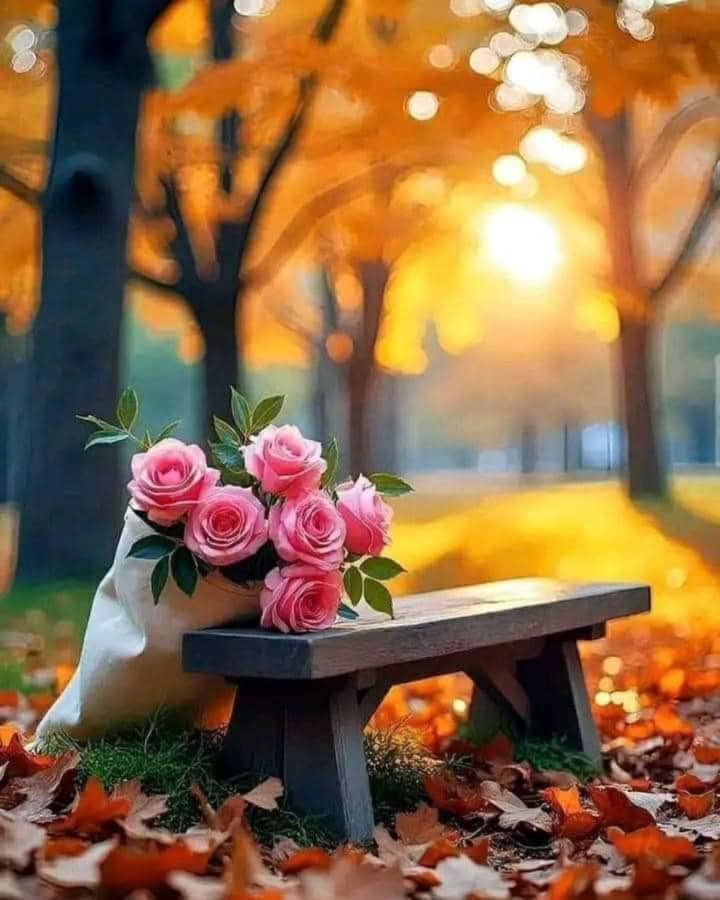 إعلم أن ثناء الناس عليك
كلام ليس له قيمة
لا يسدلك جوعاً ولا يستر لك عورة
فإن لم تخلص عملك لله
فلا تتعب نفسك!🍃🌹

#عطر_التغريدات 
#رحاب_الدعوه