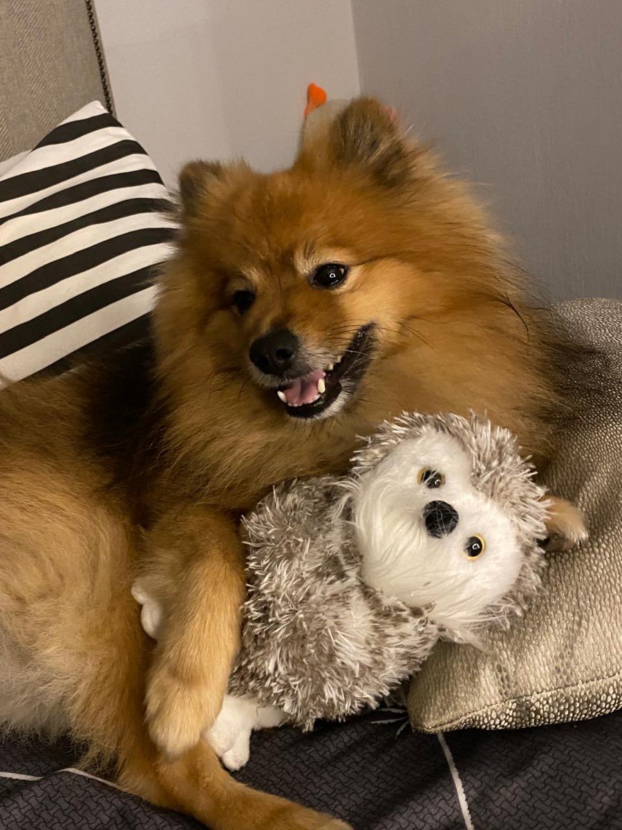 que bello georgie 🙂‍↕️