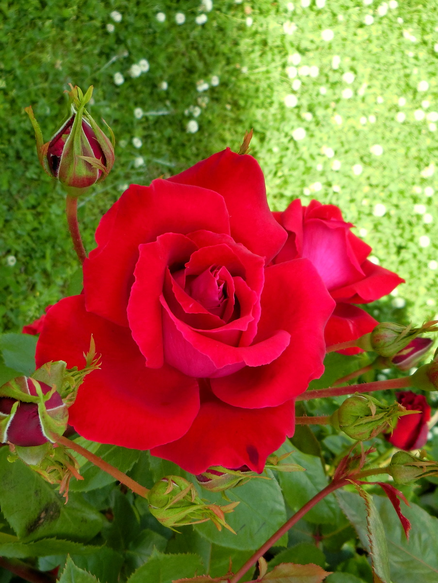 no ka2 tweet media