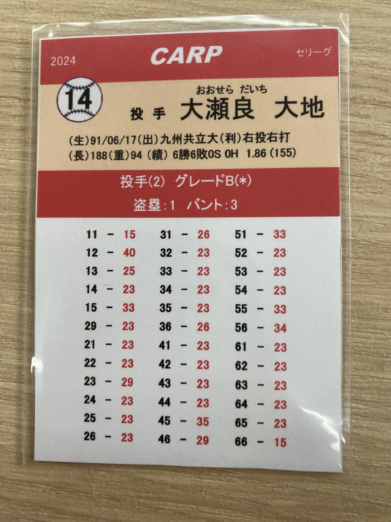 ペナントレース 岡山国際サーキット Ninja Team Green Cup in OKAYAMA 開催