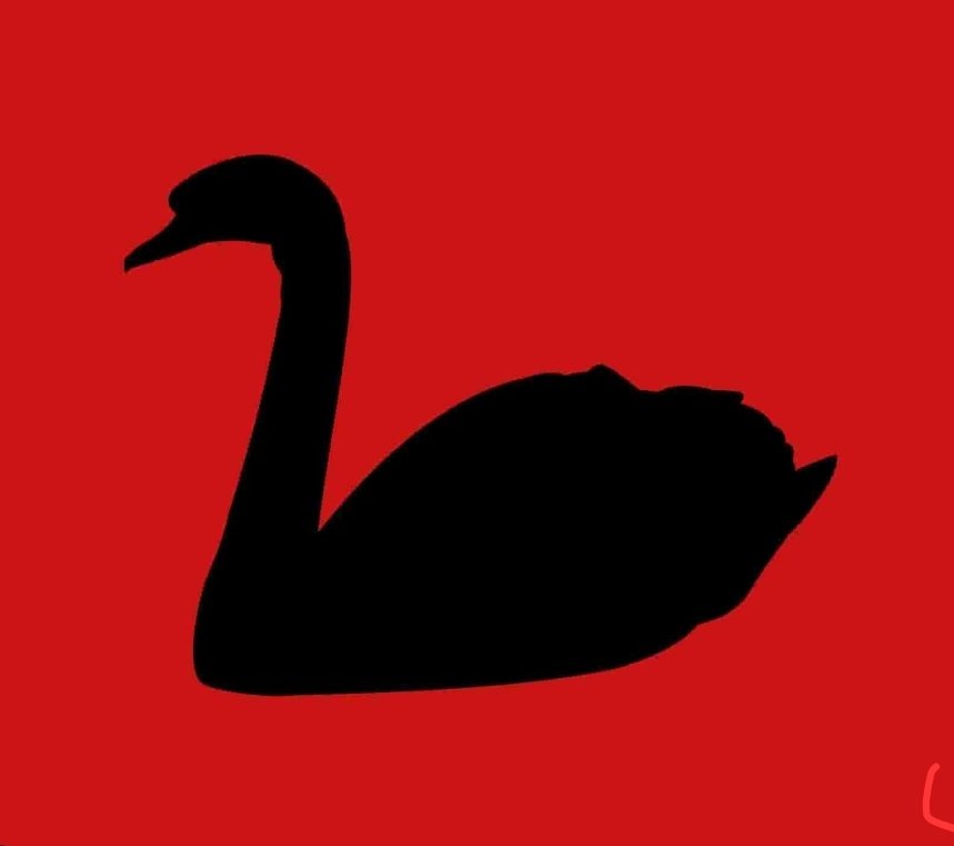 Sumday33's tweet photo. @theRealKiyosaki $BSBB 
BLACK SWAN BLOOD BATH in pumpfun
#memecoin will save us!! https://t.co/TzM3QZdnfG