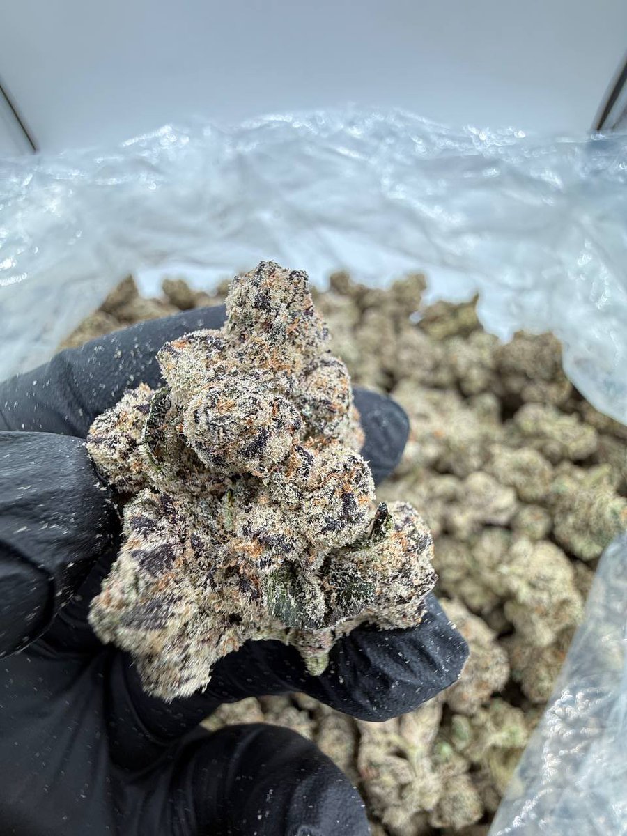 HighPriorityCo's tweet photo. Banana Punch https://t.co/pt9bXXx1Jq