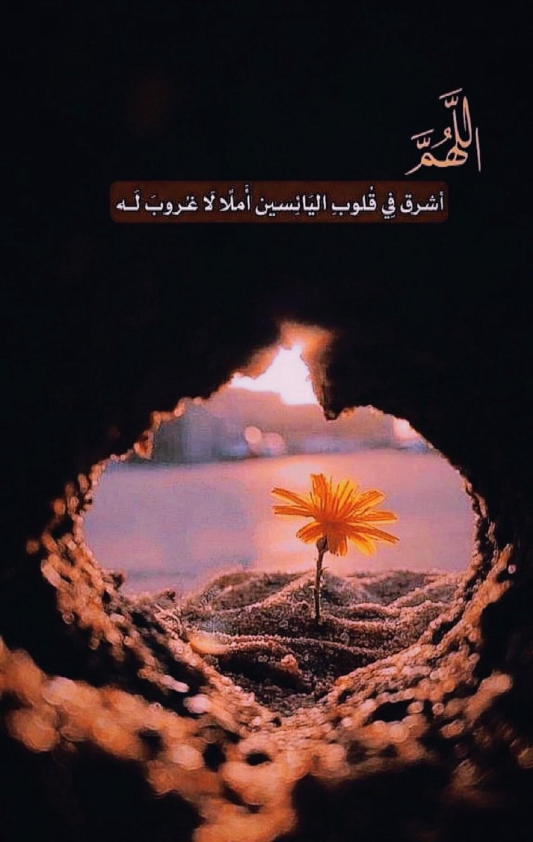 Dalal Alazmi (@iamddlado) on Twitter photo 