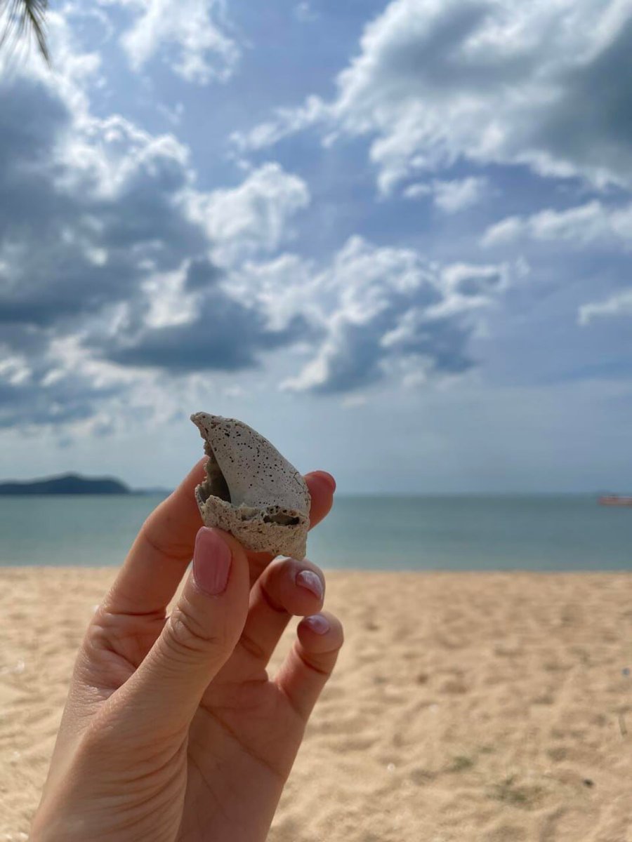 dfbdbfdbfd's tweet photo. I have to say, it's an ugly conch 🫤 https://t.co/d9HtdC9YO9