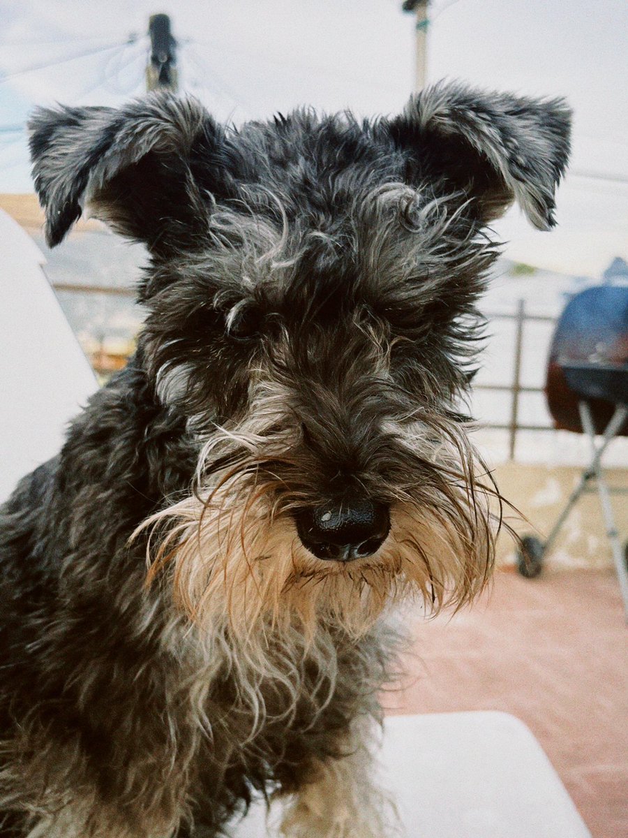 Mario Balderas tweet media