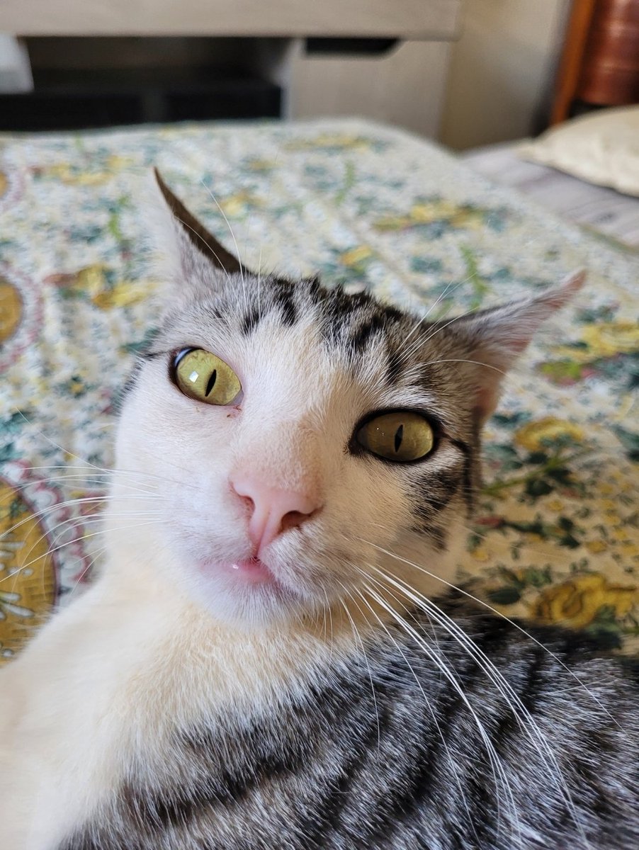 gkoosky's tweet photo. thread das minhas fotos favoritas do meu filho (Leonardo Preciliano) https://t.co/ZEZebEFpLB