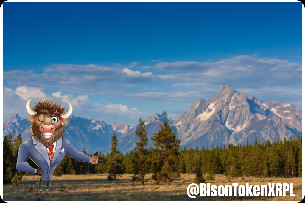 BULLISH $BISON tweet media