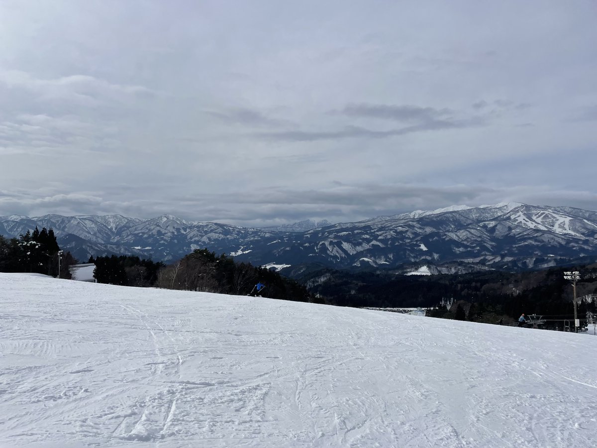 公式】リトル・サイエンティスト (@ls_meister) / Posts / X