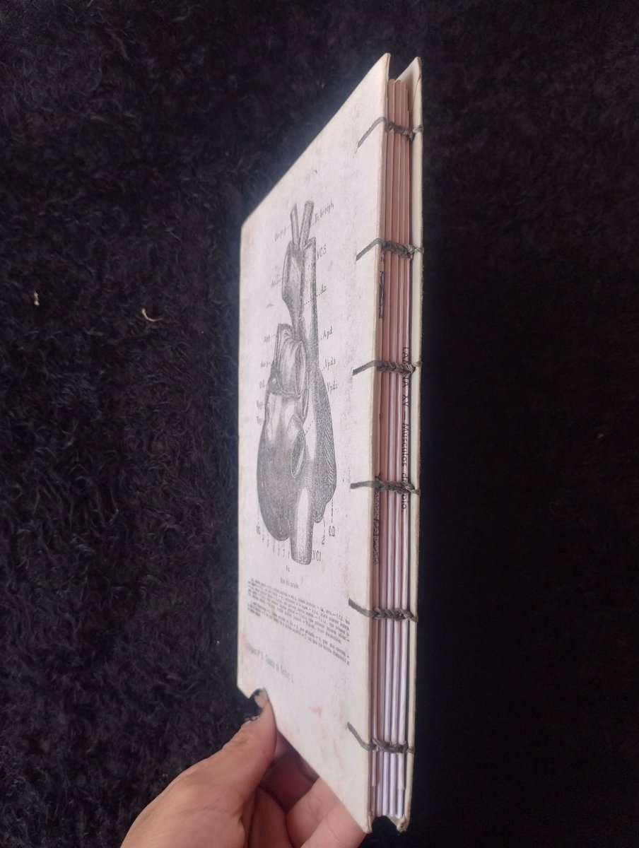 Roturas Temporales tweet media