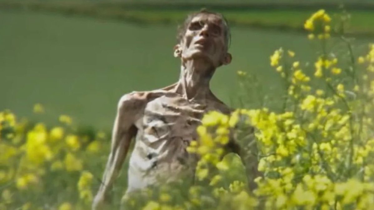 Me waiting for a Plinko 1000x