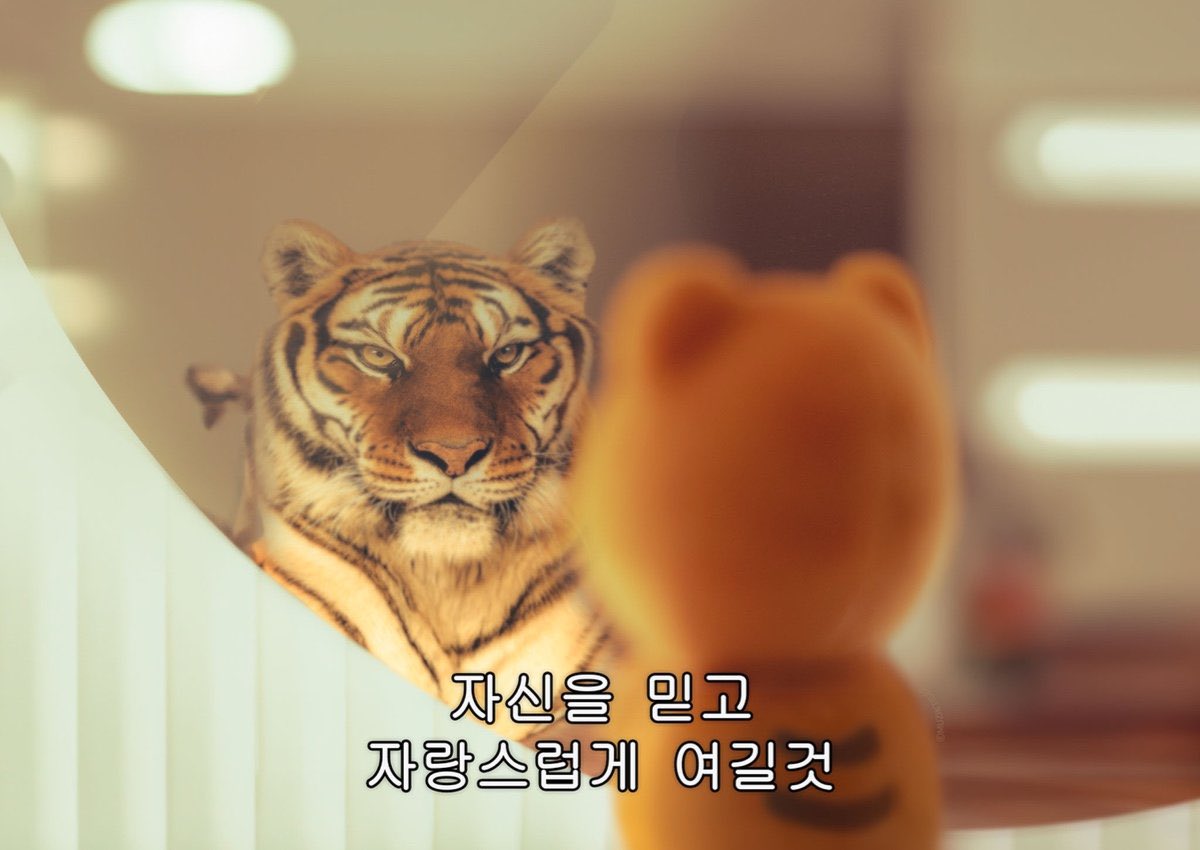 dede_deadpool's tweet photo. @OhWooJinFather 헤이~요 대머리 브로 https://t.co/CMzLY7R7oS