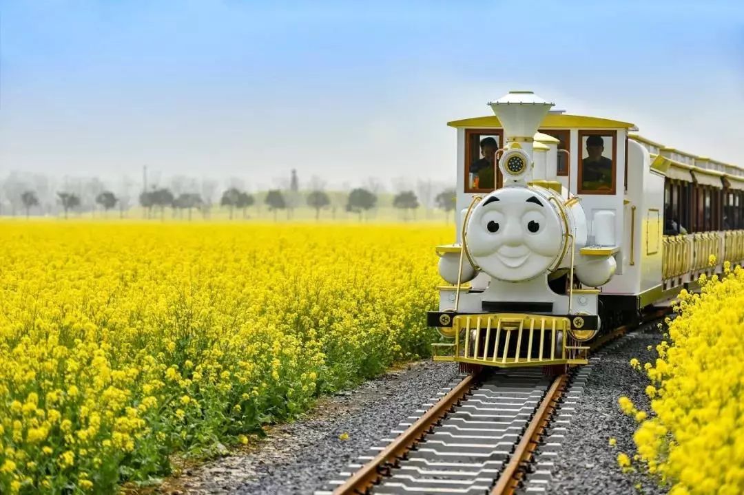 iShandong's tweet image. #StartofSpring, the first #SolarTerm of the year, begins today! This marks the arrival of #spring, as nature awakens with greenery and vitality. Days grow longer, temperatures rise, and the world comes alive with renewed energy. 🌱🌿☘️🌺🌼 #ShandongUpdates #24SolarTerms