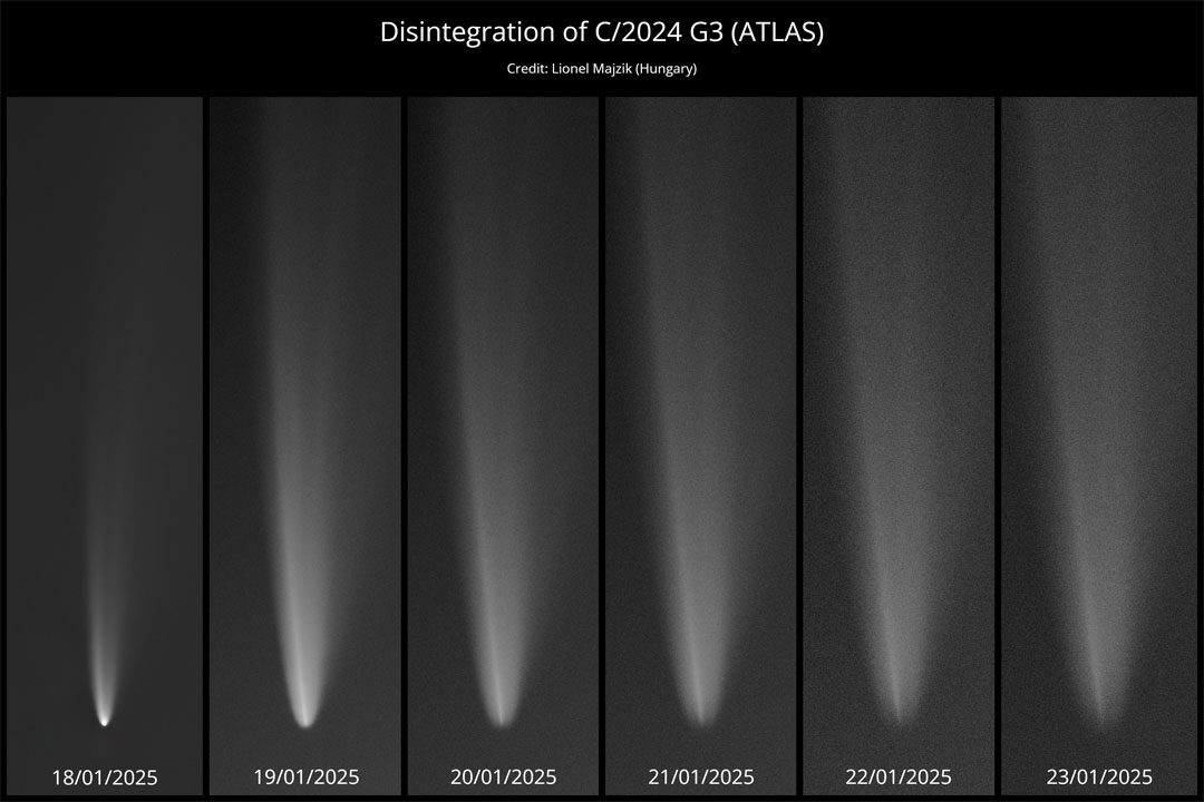 apod's tweet photo. What's happening to Comet G3 ATLAS? After passing near the Sun in mid-January, the head of the comet has become dimmer and dimmer. By late January, Comet C/2024 G3 (ATLAS) had become a headless wonder -- even though it continued to show impressive tails after sunset in the skies of Earth's Southern Hemisphere. Pictured are images of Comet G3 ATLAS on successive January nights taken from Río Hurtado, Chile. Clearly, the comet's head is brighter and more centrally condensed on the earlier days (left) than on later days (right). A key reason is likely that the comet's nucleus of ice and rock, at the head's center, has fragmented. Comet G3 ATLAS passed well inside the orbit of planet Mercury when at its solar closest, a distance that where heat destroys many comets. Some of comet G3 ATLAS' scattering remains will continue to orbit the Sun.

Image Credit: Lionel Majzik