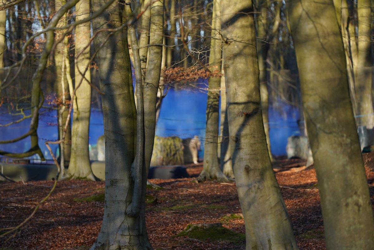 airsoftcomps's tweet photo. @CombatAirsoft3  stunning clear day... fantastic game play all day! https://t.co/Uk3v2XPsJH