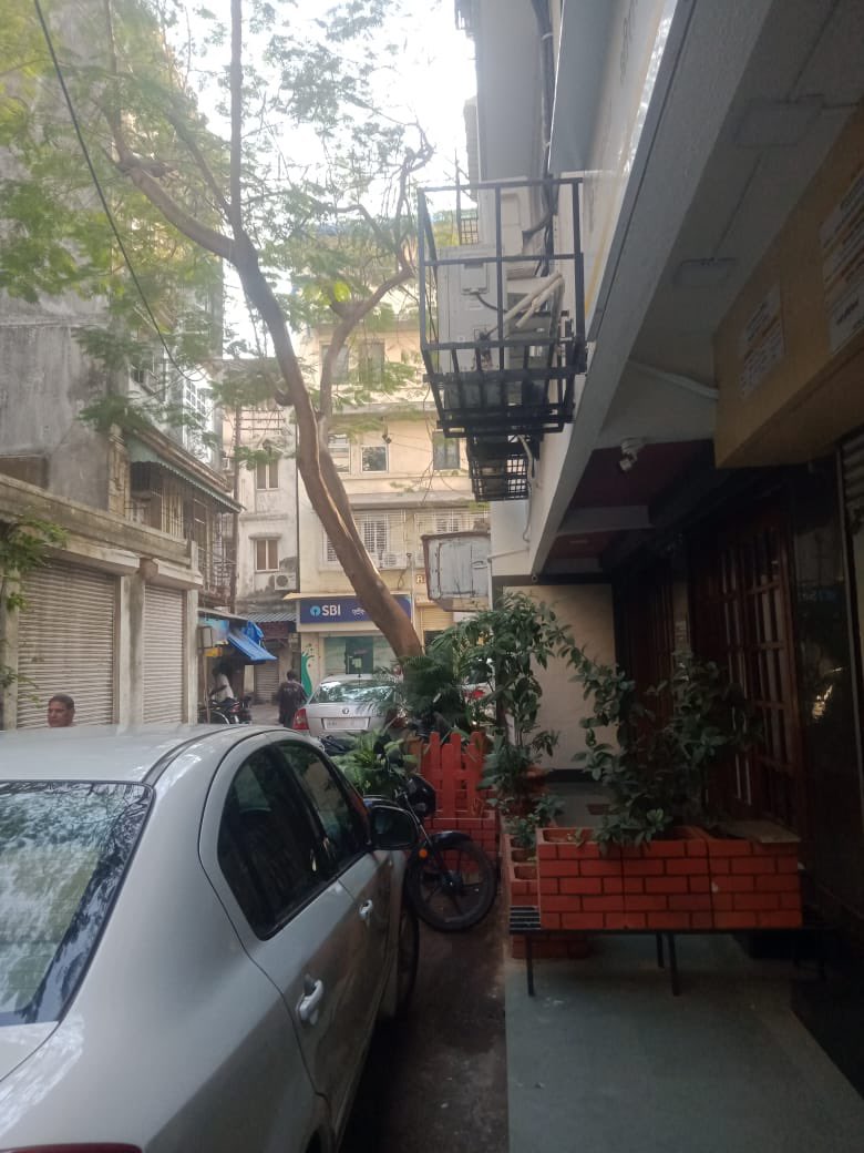 adwait_bjp's tweet photo. MLA  @rahulnarwekar Ji &amp; Assistant Commissioner @mybmcWardA Encroachment taking up all over footpath &amp;  Road. Keeping Cement Pots
Request You legal action must be taken immediately. But it’s been Month No Action Taken till Now Add :- Sindhu House 3/5 Nanabhai Lane Fort Mum :- 1 https://t.co/iI5jRht9Ay
