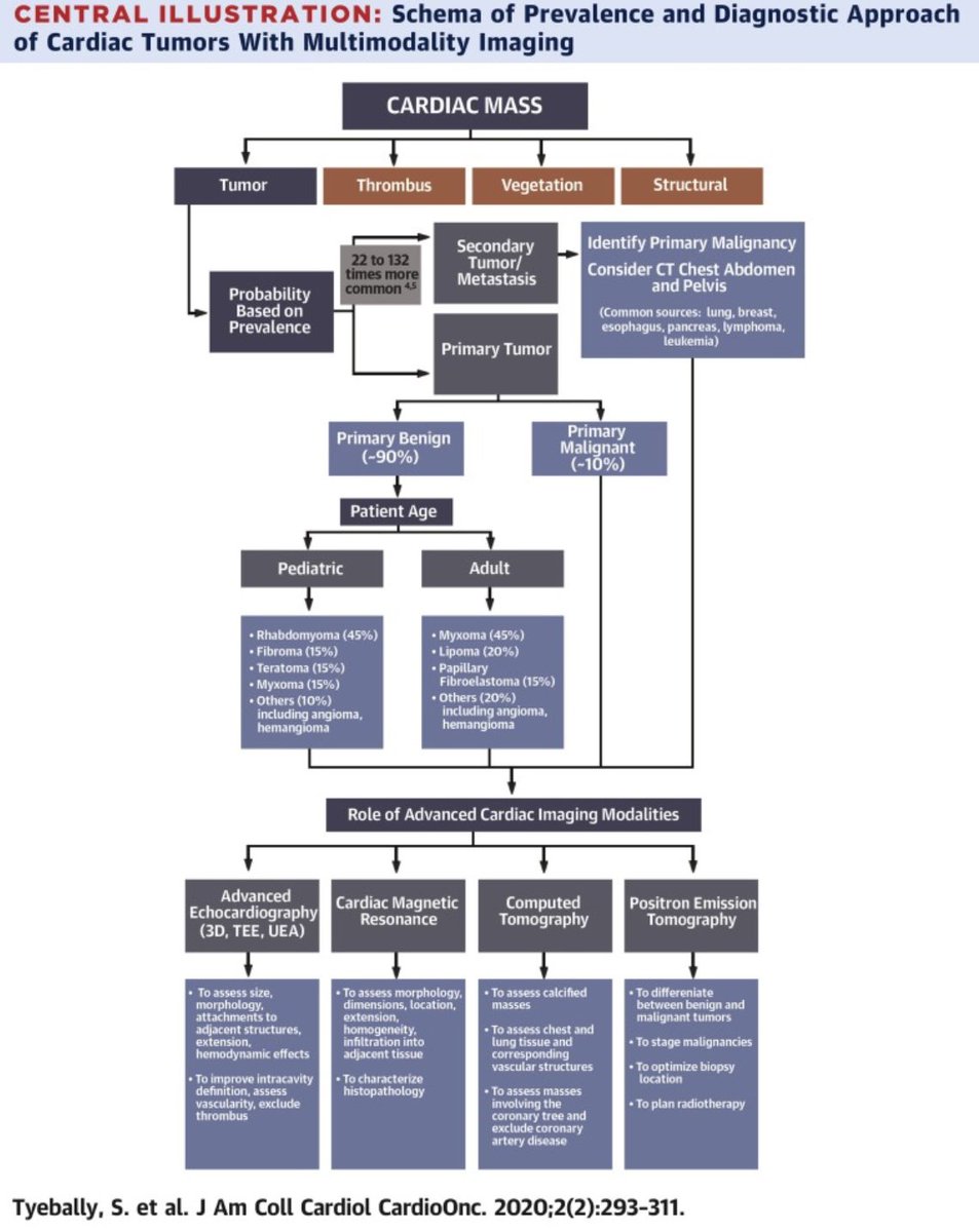 Joscarod's tweet photo. Here’s a brief map of possible etiologies according to chamber location and an algorithm on diagnostic approach #ACC #FIT #ESC #CardioTwitter https://t.co/i1NwvjRTvW